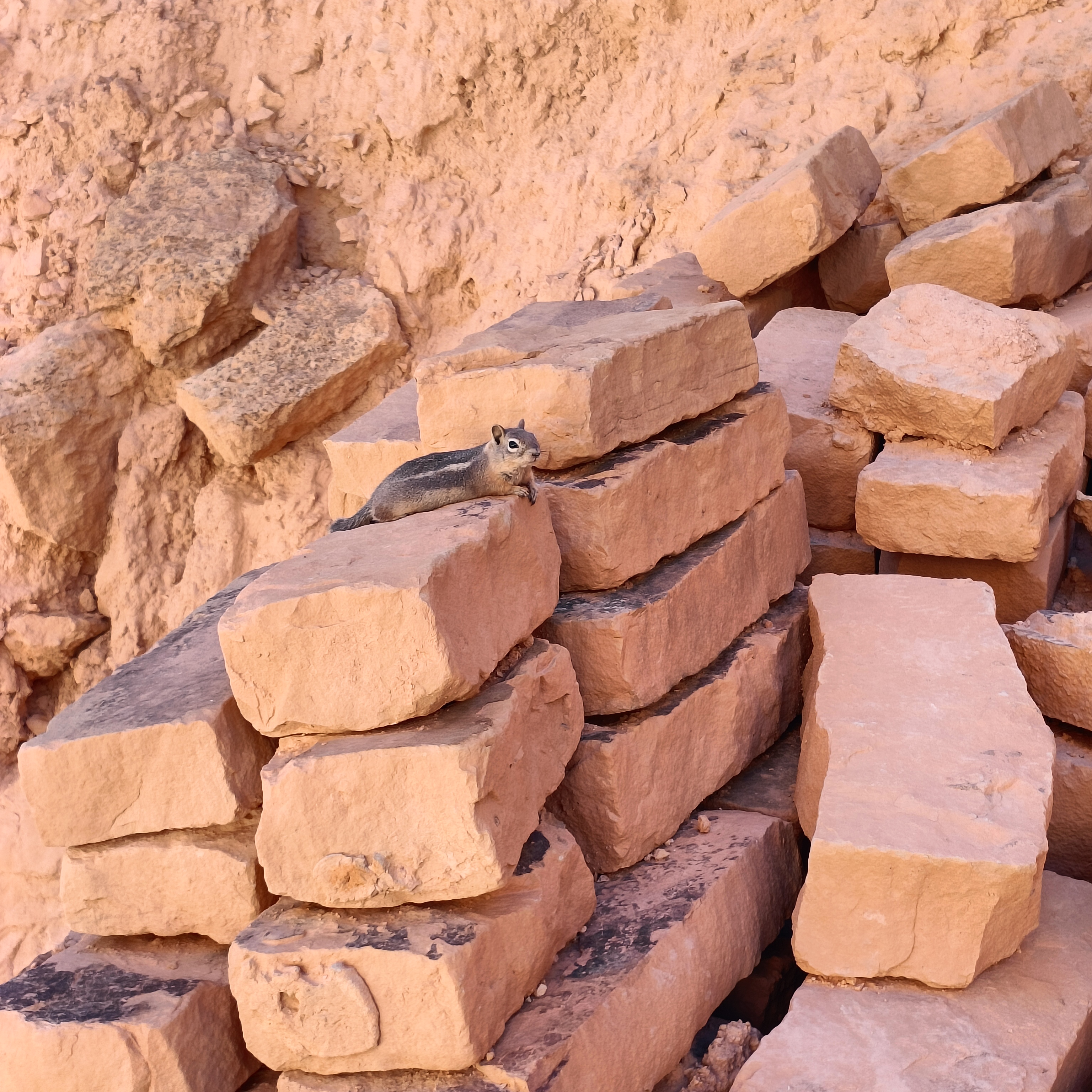 Brice Canyon